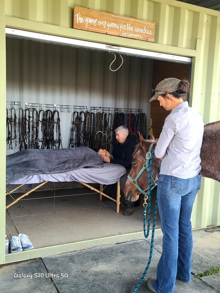 SIM Horse and human heal together