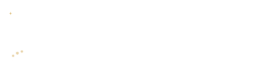 Symbiotic Integrated Mirroring